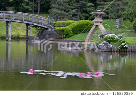 日本庭園 10 126880889