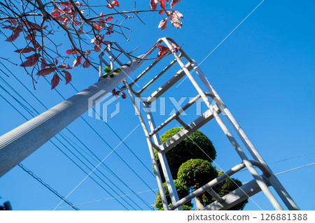 Gardening tripod Gardening tripod 126881388