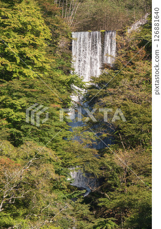 Waterfall surrounded by autumn leaves Waterfall surrounded by autumn leaves 126881640