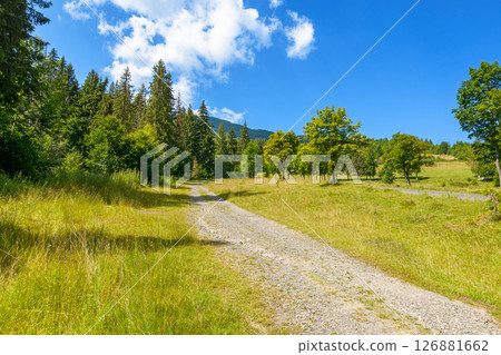 gravel country road in carpathian mountain. scenic journey through alpine scenery of ukraine. sunny day with clouds on the blue sky in summer gravel country road in carpathian mountain. scenic journey through alpine scenery of ukraine. sunny day with clouds on the blue sky in summer 126881662