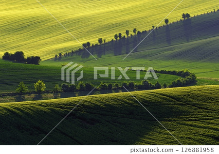 Beautiful spring landscape with field, hills and sunset. Czech Republic - South Moravia (Moravian Tuscany.) Concept for agriculture, travel, environment and nature. Beautiful spring landscape with field, hills and sunset. Czech Republic - South Moravia (Moravian Tuscany.) Concept for agriculture, travel, environment and nature. 126881958