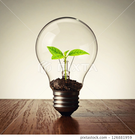 Small green plant in a light bulb. Concept for environment, energy in industry and nature. 126881959