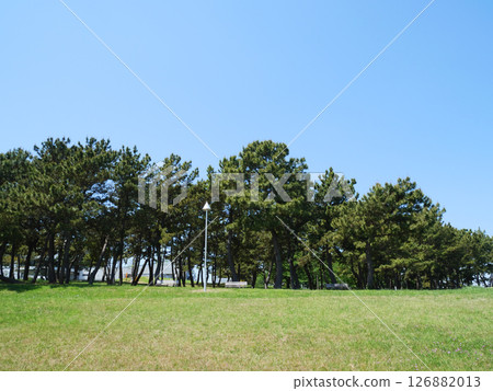 Park scenery | Wakasu Seaside Park 126882013