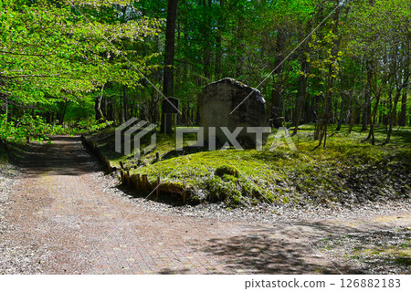 Scenery of Lake Yamanaka Literature Forest Park 126882183