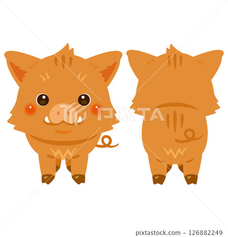 野豬正面和背面插圖集 126882249