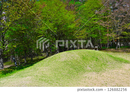 Scenery of Lake Yamanaka Literature Forest Park 126882256