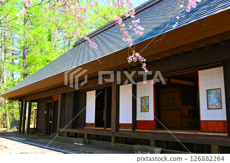 山中湖文學森林公園的風景 126882264