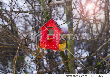 A wooden bird birdhouse is hanging on a tree branch in the park. Feeding birds. 126882265