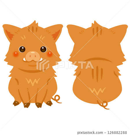 Set of front and back illustrations of sitting wild boar 126882288