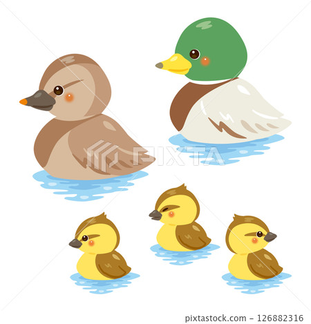 一組鴨子父母和孩子漂浮在水面上的插圖 126882316