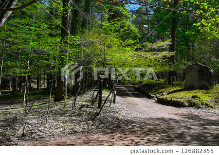 山中湖文學森林公園的風景 山中湖文學森林公園的風景 126882355