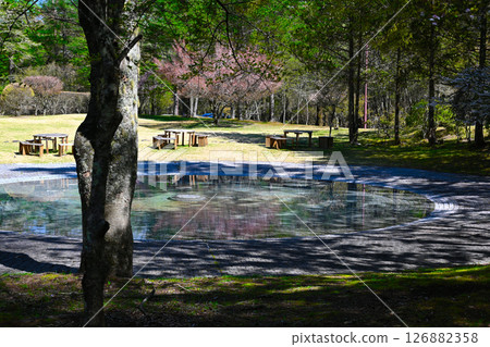 山中湖文學森林公園的風景 山中湖文學森林公園的風景 126882358
