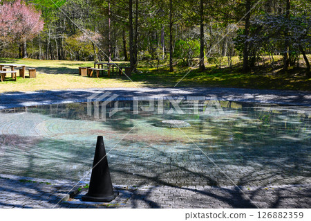 山中湖文學森林公園的風景 126882359