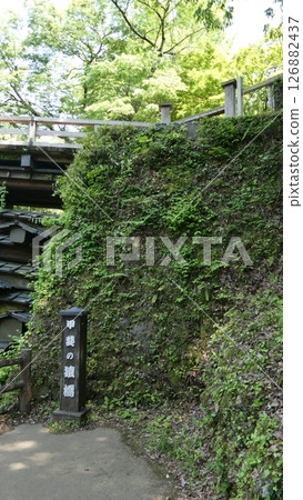The approach to Yamadera Temple surrounded by fresh greenery 126882437