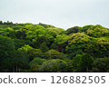 新鮮的綠色山 126882505