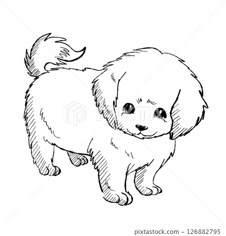 Puppy Dog Outline Cute Pet Black and White Drawing Vector Illustration Puppy Dog Outline Cute Pet Black and White Drawing Vector Illustration 126882795