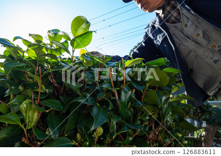 Gardener Gardener 126883611
