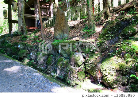The "Shinraku Kounkahi" is a power spot for improving fortune at Kurama Temple, where cosmic energy pours down and protects the capital of Kyoto from evil spirits. The "Shinraku Kounkahi" is a power spot for improving fortune at Kurama Temple, where cosmic energy pours down and protects the capital of Kyoto from evil spirits. 126883980