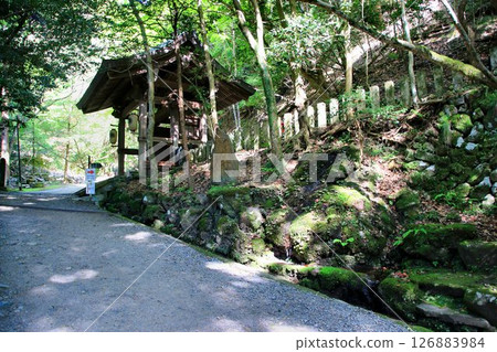 The "Shinraku Kounkahi" is a power spot for improving fortune at Kurama Temple, where cosmic energy pours down and protects the capital of Kyoto from evil spirits. 126883984
