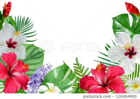 Tropical flowers arrangement hibiscus flowers and plumeria flowers with monstera leaves 126884000