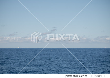 [Tokyo Kyushu Ferry Hamayu bound for Shinmoji Port and Soreiyu bound for Yokosuka Port meet and leave] 126884119