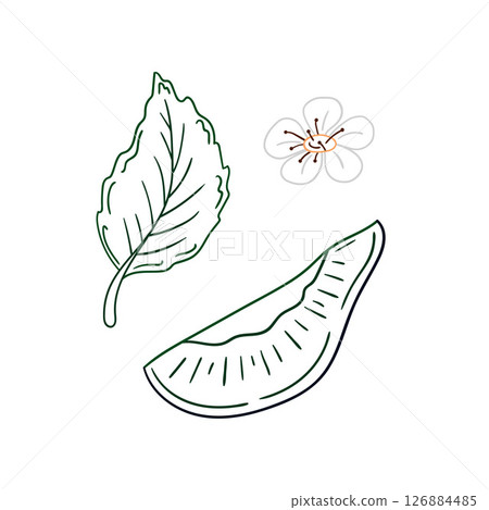Illustration in hand draw style. Icon, sign, sticker, pin, logo 126884485