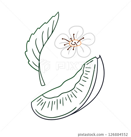 Illustration in hand draw style. Icon, sign, sticker, pin, logo 126884552