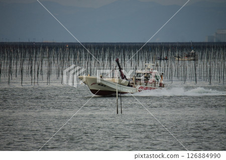 Omuta City Ariake Sea Nori field, Omuta City Ariake Sea Nori field, 126884990