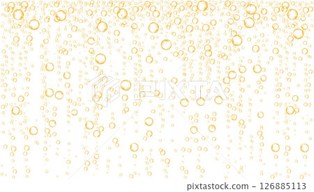 Champagne., orange sparkling water or beer. 126885113