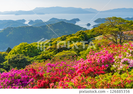 (Nagasaki Prefecture) Nagakushiyama Park: North Kujukushima Islands beyond the azaleas in full bloom (Nagasaki Prefecture) Nagakushiyama Park: North Kujukushima Islands beyond the azaleas in full bloom 126885356