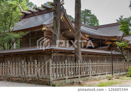 鳴門市大彥神社內 鳴門市大彥神社內 126885594