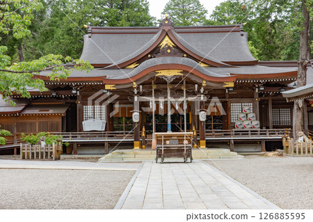 鳴門市大彥神社的本殿 鳴門市大彥神社的本殿 126885595