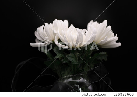 追悼會和哀悼儀式的鮮花 126885606