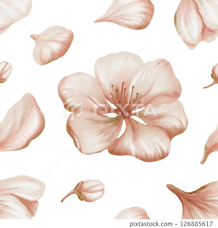 Cherry blossoms and delicate buds,petals in seamless pattern on transparent background. Soft watercolor floral illustration for spring wedding decor, botanical branding or romantic stationery design 126885617