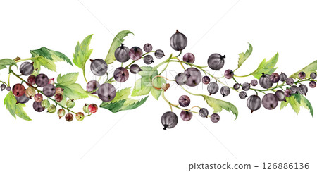 Currant gooseberry clusters with leaves, ripe berry juneberry casseille jostaberry, hand drawn in watercolor. Isolated seamless banner border garland for dessert menu, eco farmers market, gardening 126886136