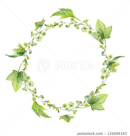 Green leaf, long cluster flower in water dew drops. Bush tree foliage hand drawn in watercolor, Currant gooseberry maple sycamore avens. Isolated wreath frame crown. Florist shop, eco herbal cosmetics 126886163