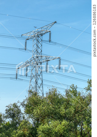 Electricity pylon and nature, real life photo 126886183