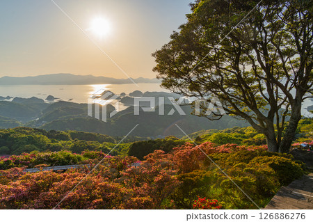 （長崎縣）長串山公園：杜鵑花盛開的北九十九島的夕陽 126886276