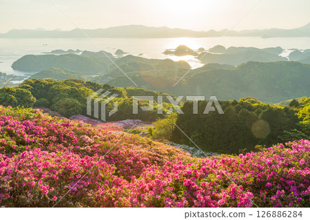 （長崎縣）長串山公園：杜鵑花盛開的北九十九島的夕陽 126886284