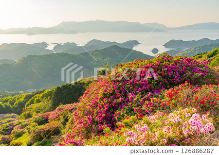 （長崎縣）長串山公園：杜鵑花盛開的北九十九島的夕陽 126886287