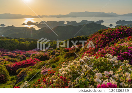 （長崎縣）長串山公園：杜鵑花盛開的北九十九島的夕陽 126886289