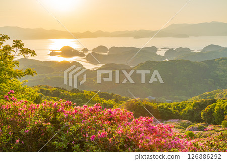 (Nagasaki Prefecture) Nagakushiyama Park: The setting sun of the Kita-Kujukushima Islands beyond the azaleas in full bloom (Nagasaki Prefecture) Nagakushiyama Park: The setting sun of the Kita-Kujukushima Islands beyond the azaleas in full bloom 126886292