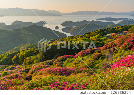 (Nagasaki Prefecture) Nagakushiyama Park: The setting sun of the Kita-Kujukushima Islands beyond the azaleas in full bloom (Nagasaki Prefecture) Nagakushiyama Park: The setting sun of the Kita-Kujukushima Islands beyond the azaleas in full bloom 126886294