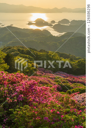 （長崎縣）長串山公園：杜鵑花盛開的北九十九島的夕陽 126886296