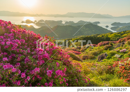 (長崎縣)長串山公園:杜鵑花盛開的北九十九島的夕陽 (長崎縣)長串山公園:杜鵑花盛開的北九十九島的夕陽 126886297