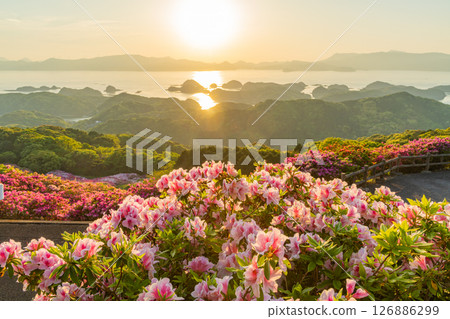 (Nagasaki Prefecture) Nagakushiyama Park: The setting sun of the Kita-Kujukushima Islands beyond the azaleas in full bloom (Nagasaki Prefecture) Nagakushiyama Park: The setting sun of the Kita-Kujukushima Islands beyond the azaleas in full bloom 126886299