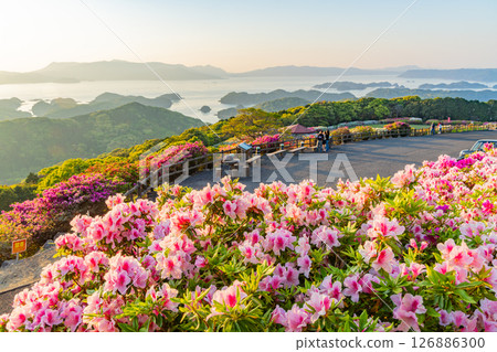 (Nagasaki Prefecture) Nagakushiyama Park: The setting sun of the Kita-Kujukushima Islands beyond the azaleas in full bloom (Nagasaki Prefecture) Nagakushiyama Park: The setting sun of the Kita-Kujukushima Islands beyond the azaleas in full bloom 126886300