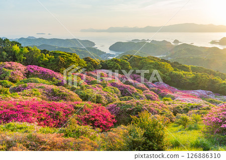 (Nagasaki Prefecture) Nagakushiyama Park: The setting sun of the Kita-Kujukushima Islands beyond the azaleas in full bloom 126886310