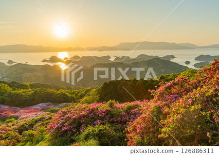 (Nagasaki Prefecture) Nagakushiyama Park: The setting sun of the Kita-Kujukushima Islands beyond the azaleas in full bloom 126886311