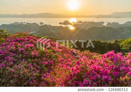 (Nagasaki Prefecture) Nagakushiyama Park: The setting sun of the Kita-Kujukushima Islands beyond the azaleas in full bloom (Nagasaki Prefecture) Nagakushiyama Park: The setting sun of the Kita-Kujukushima Islands beyond the azaleas in full bloom 126886312